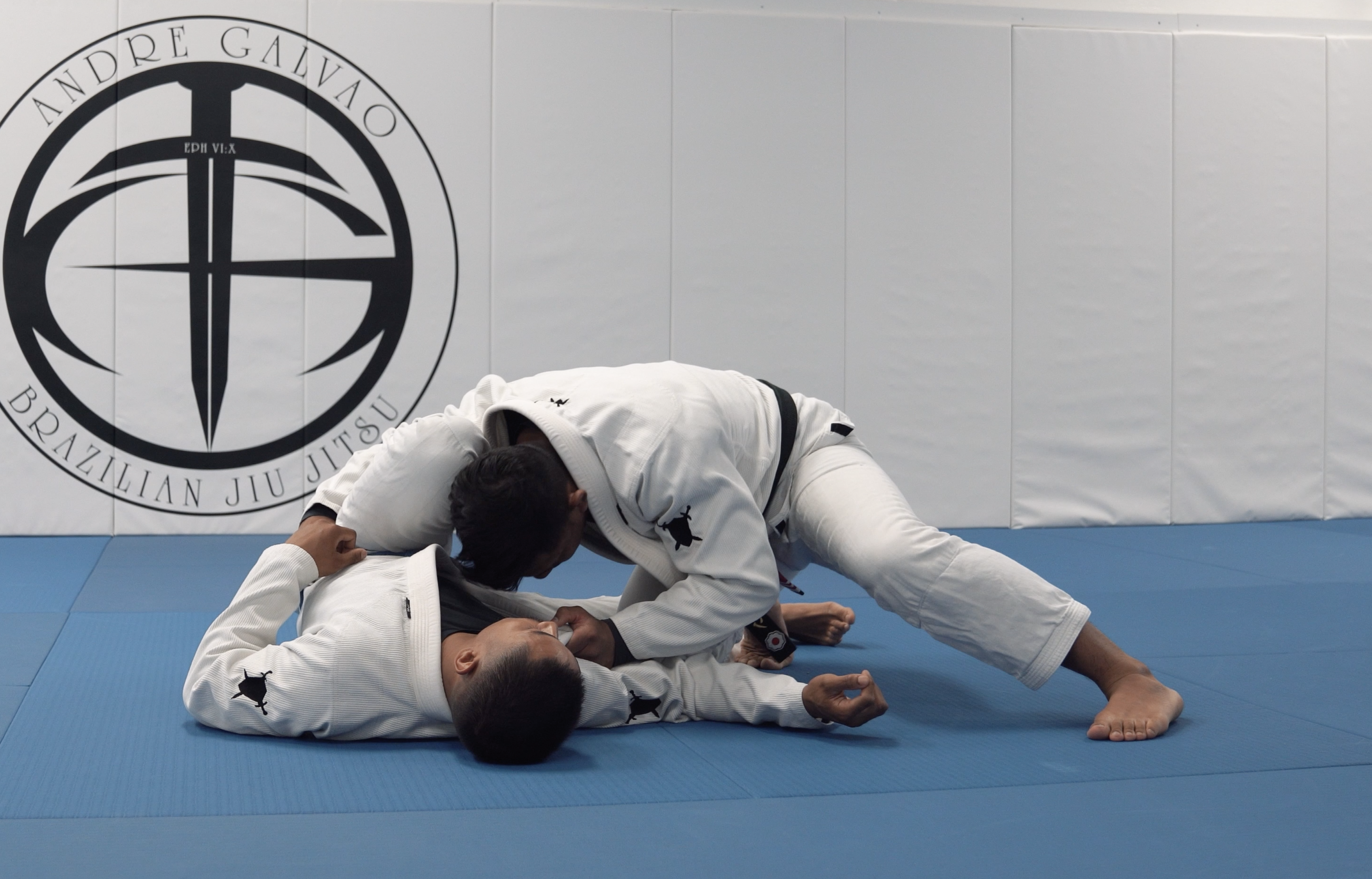 Crazy Dog Pass to Shoulder Trap