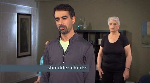 Vol 1 - Gentle Stretch and Move