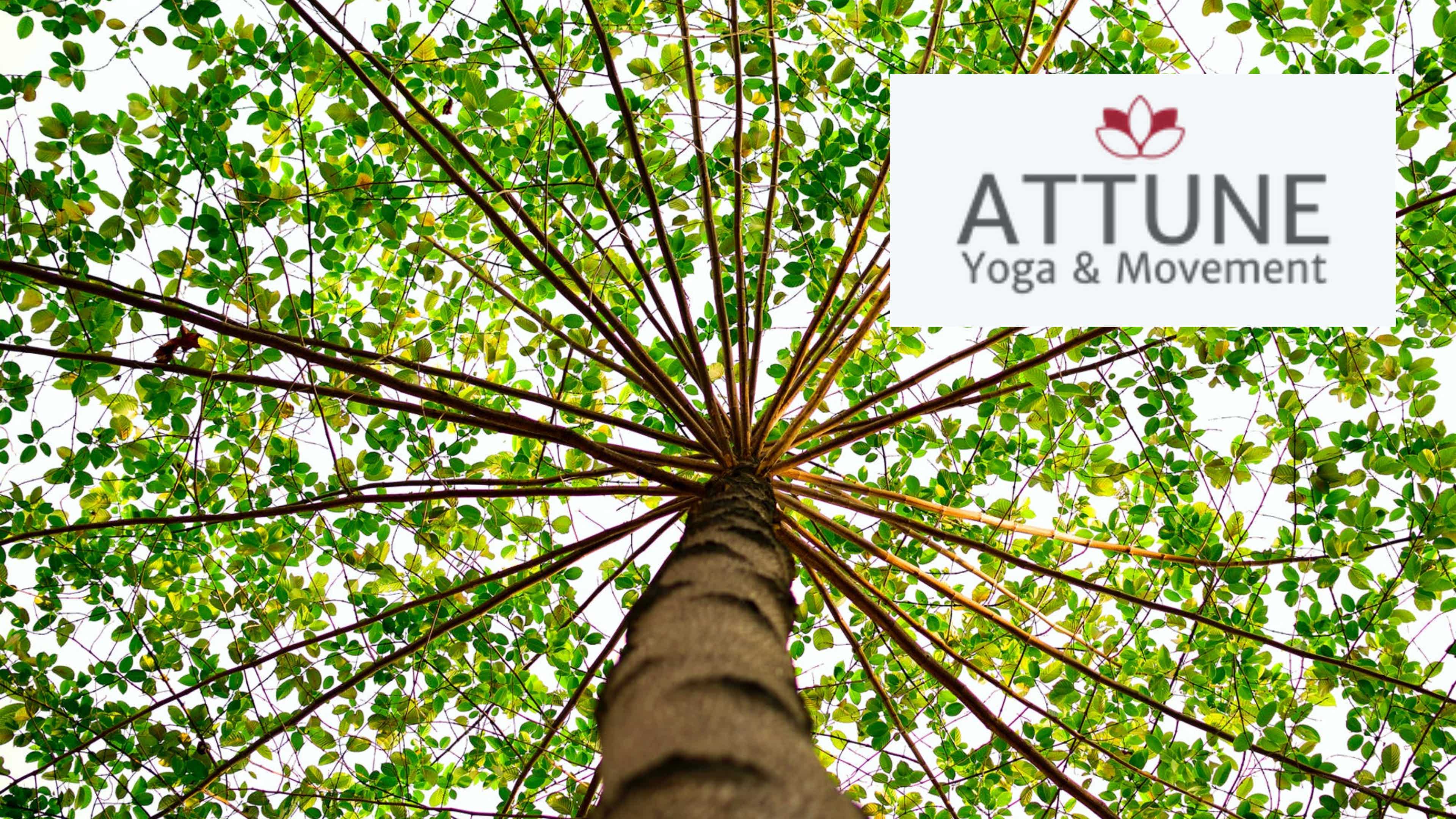 Connection and Springiness 8/28/2021