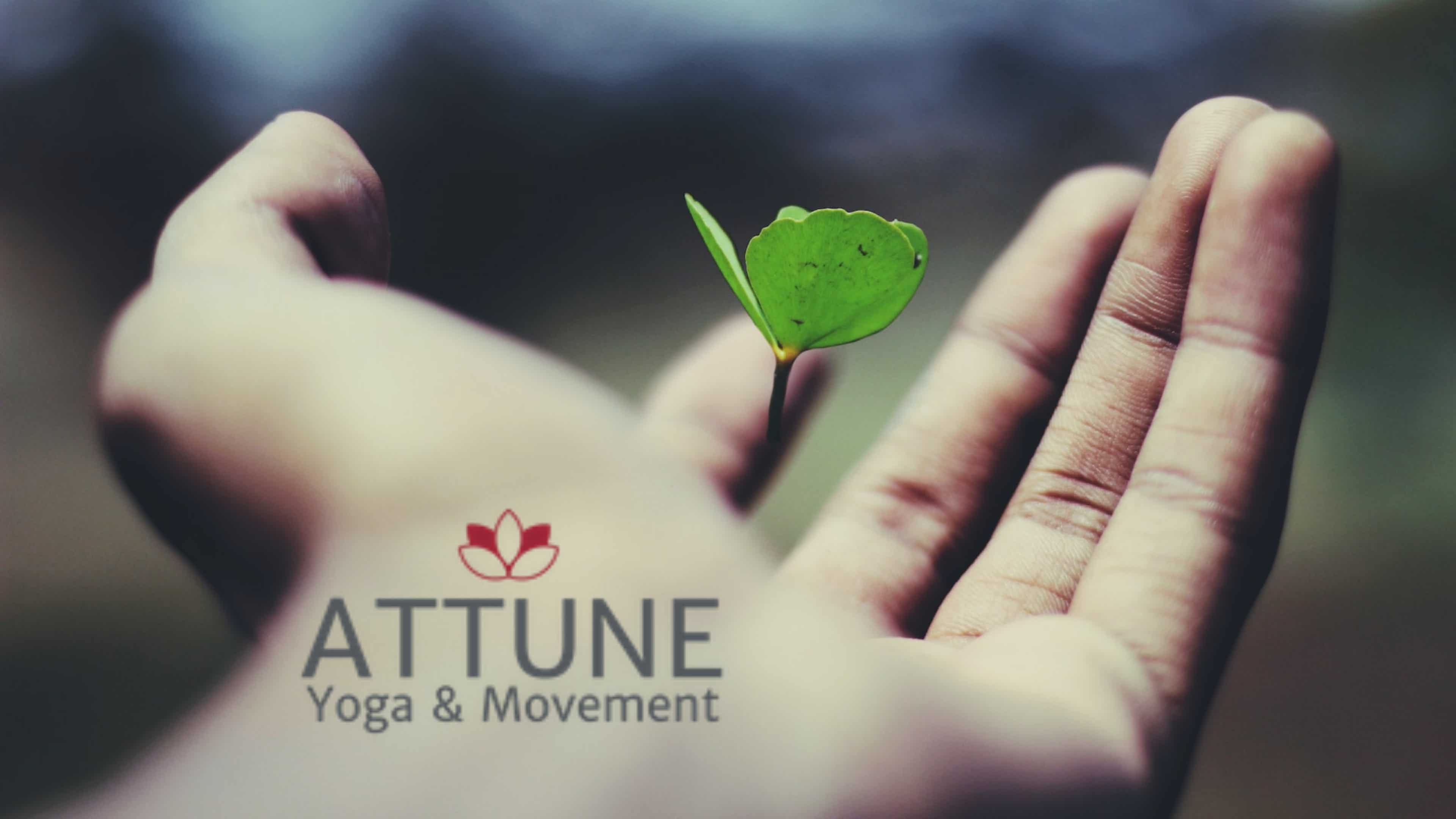 Finding Support: A Gentle Practice 8/27/2022