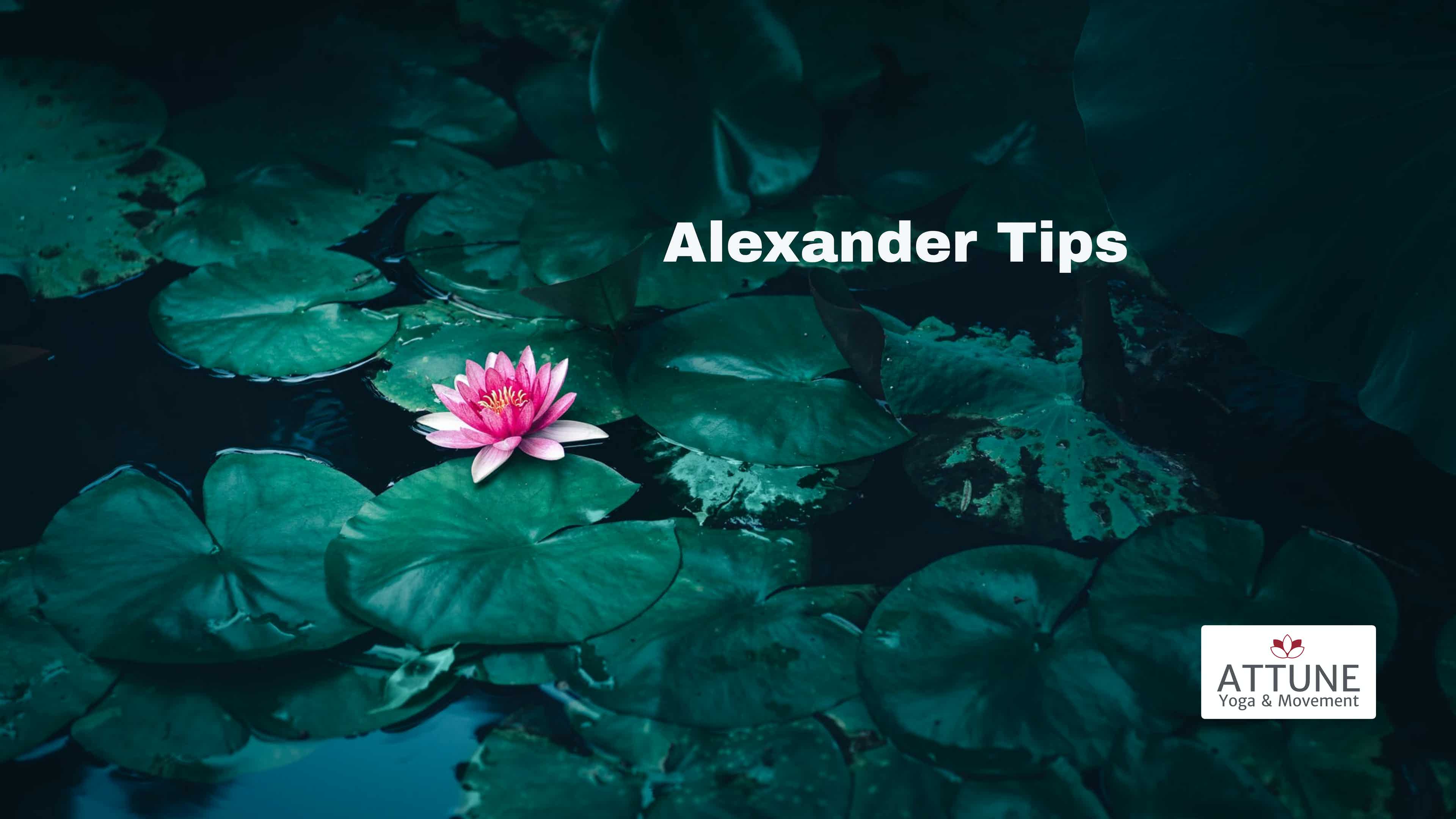 Somatic Mini-Lessons and Tips