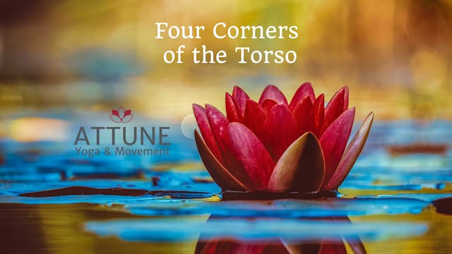 Four Corners of the Torso