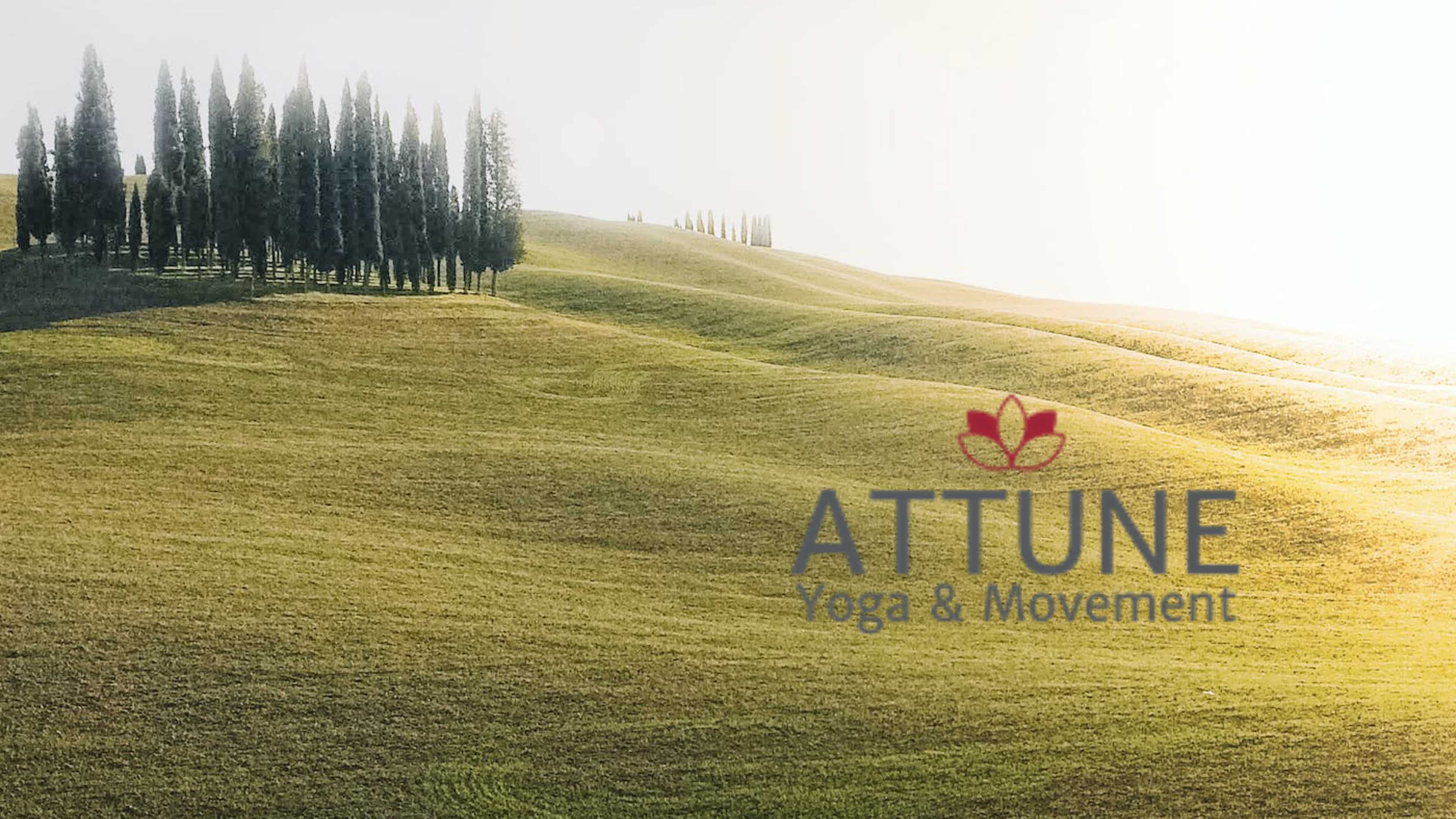 Primary Curves of Support 1/21/2023