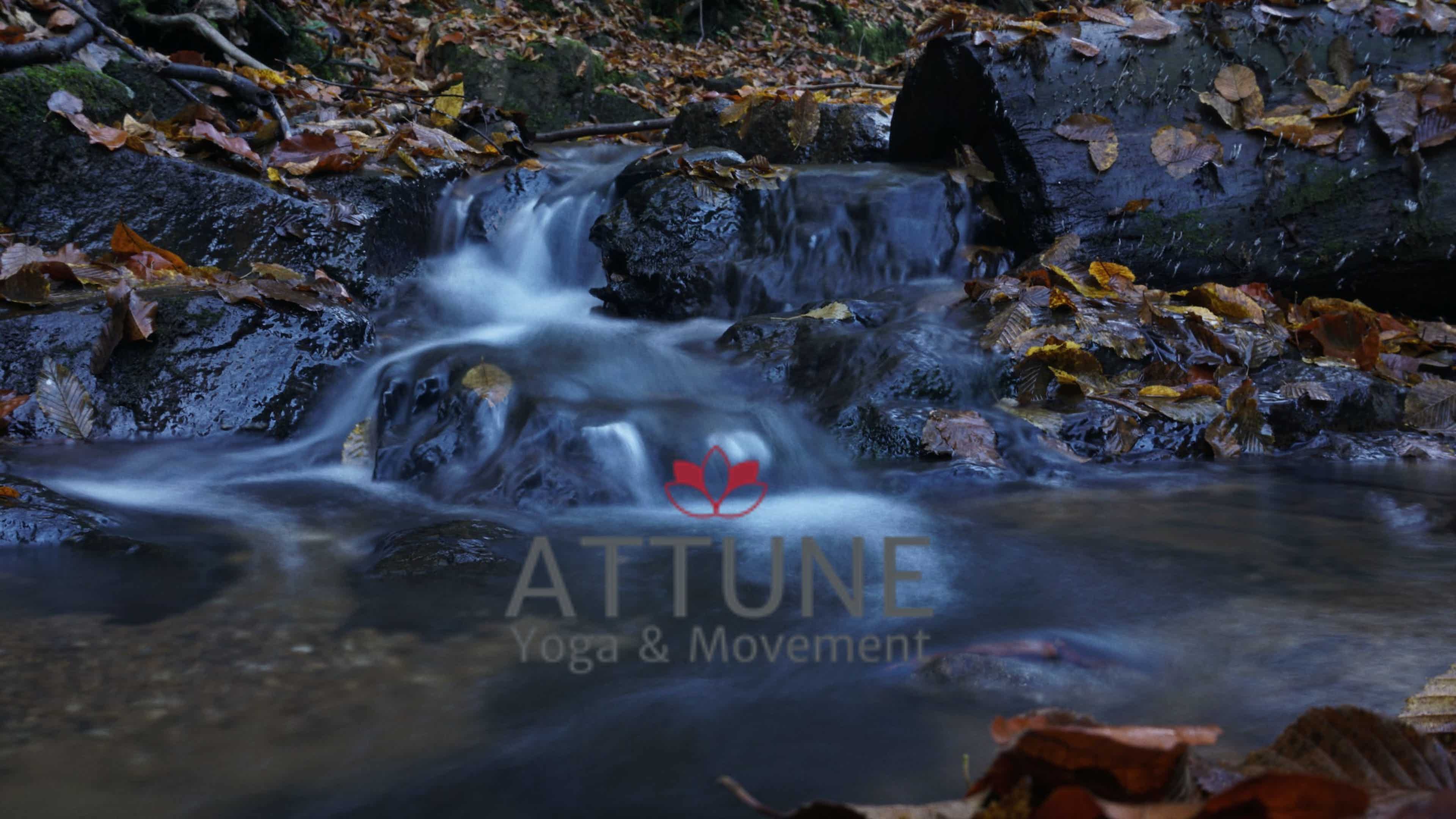 Awakening Vitality 10/8/2022