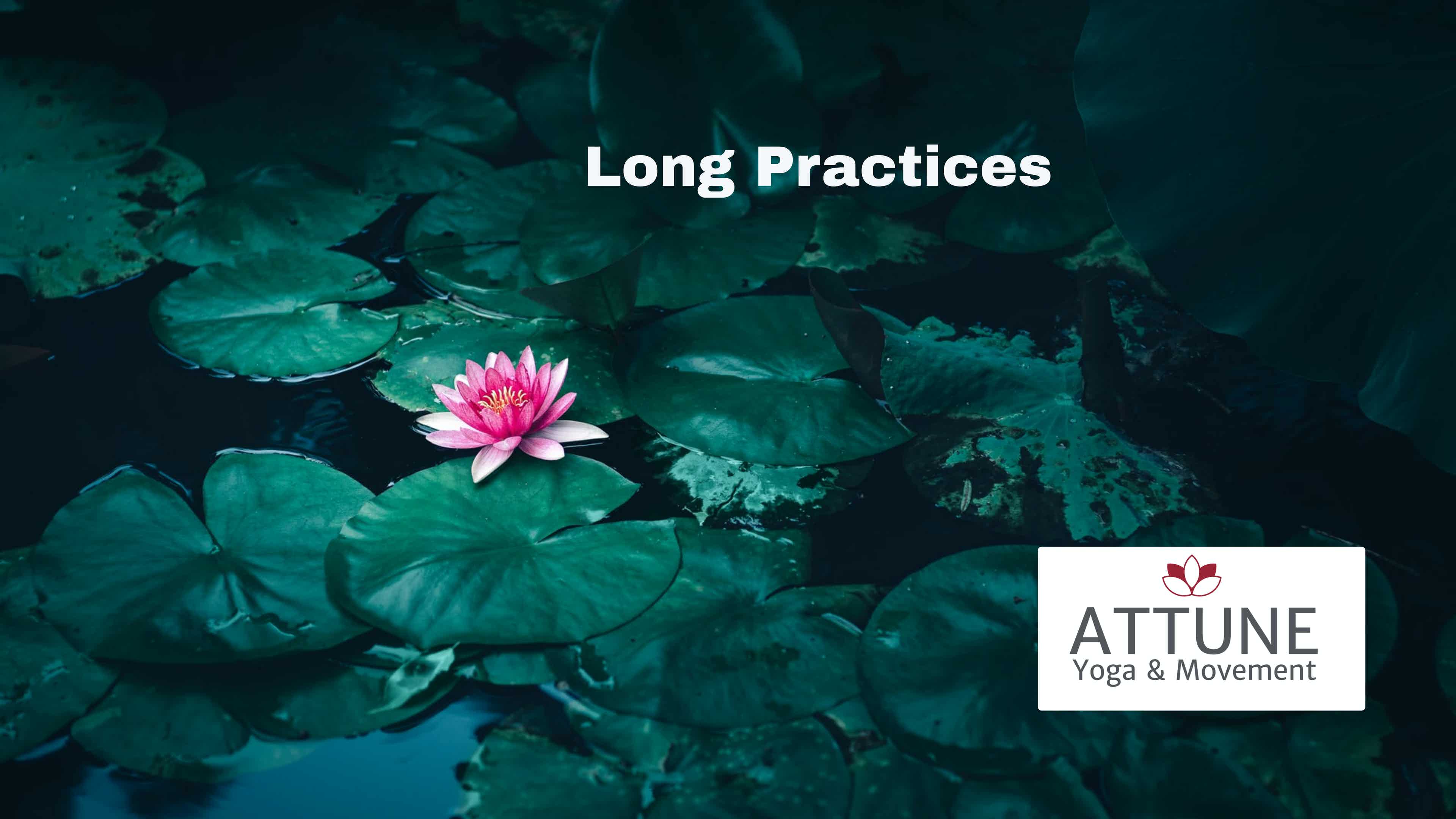 Attune Yoga Long Practices