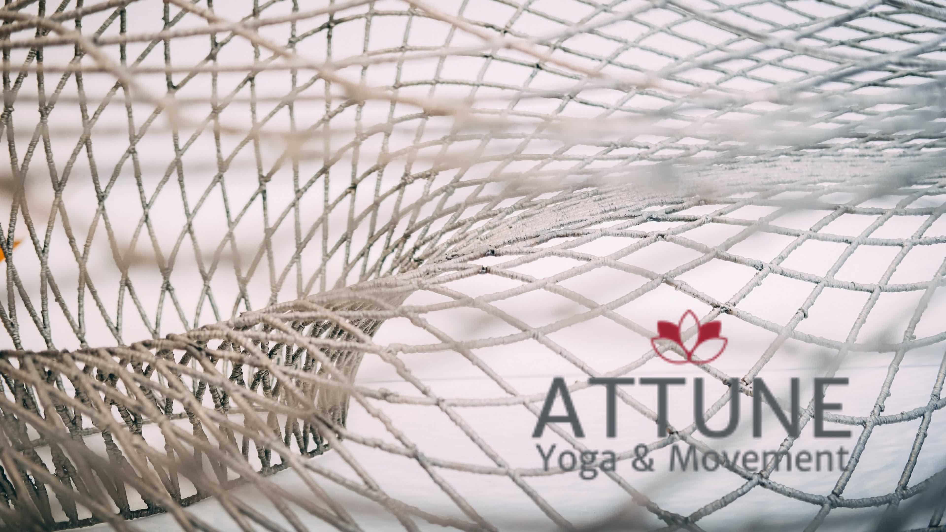 Freeing the Ribs and Middle Spine 8/13/2022