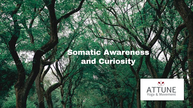 Somatic Awareness and Curiosity