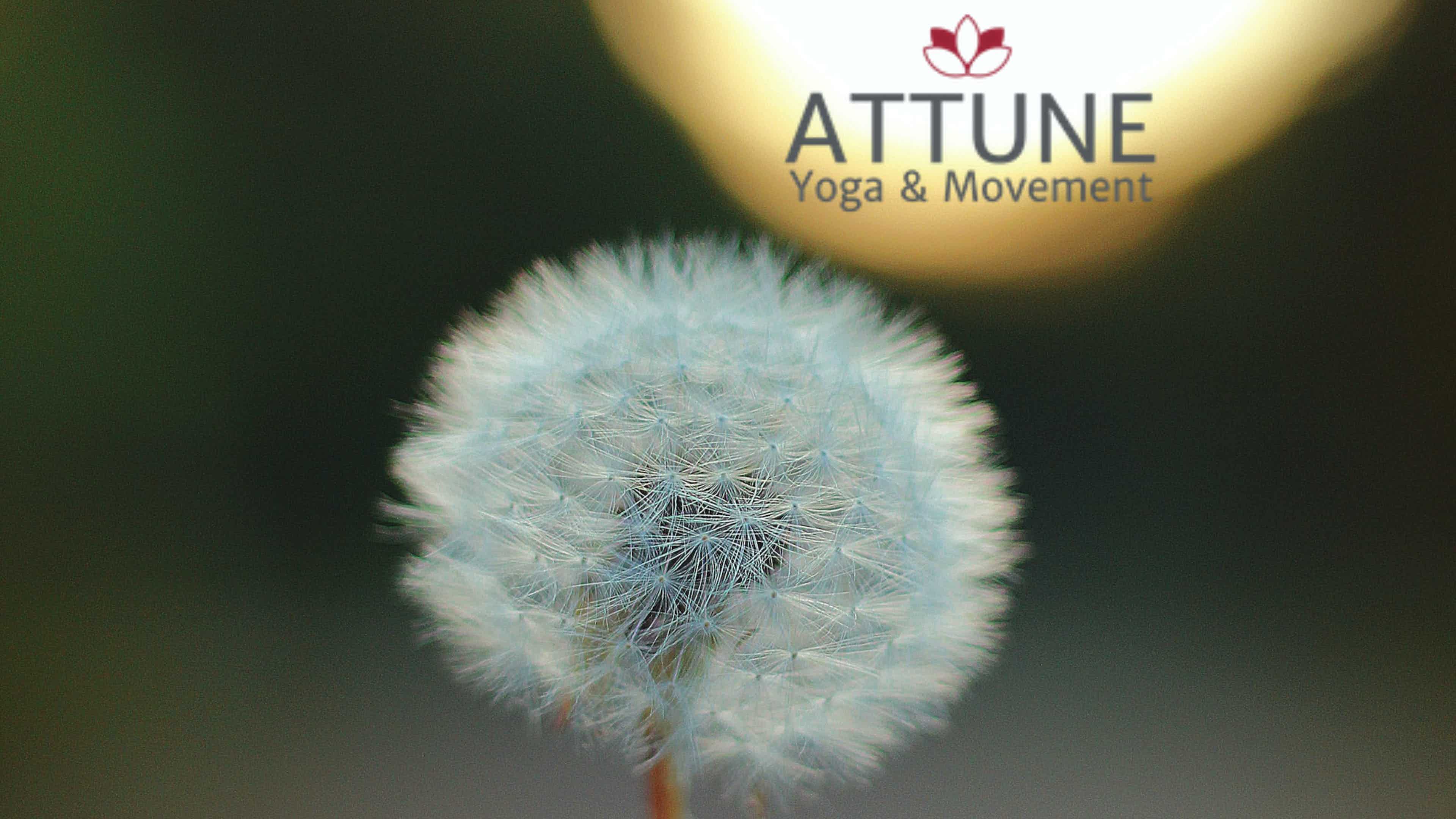 Moving with Clarity 9/10/2022