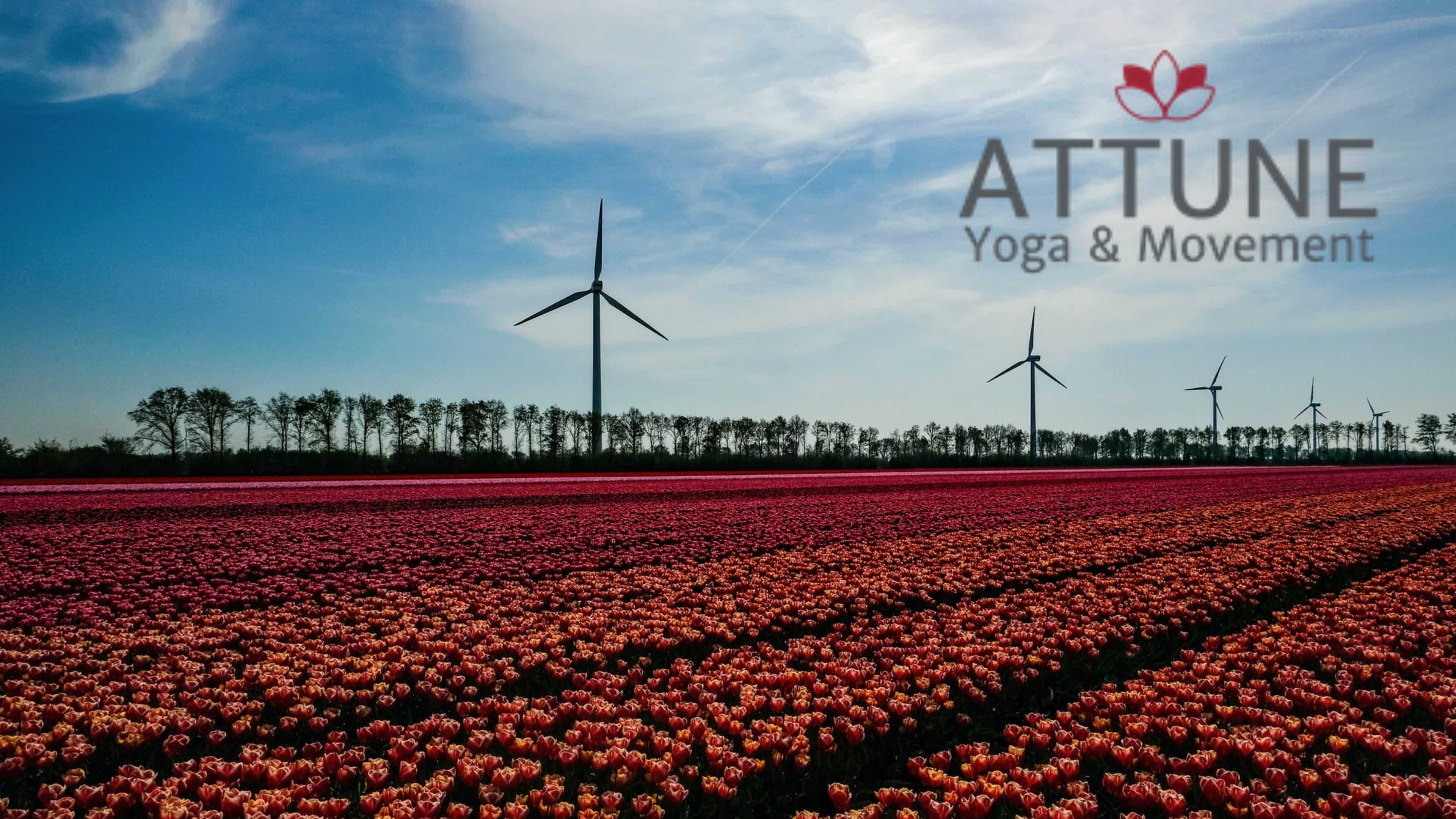 Jaw Release | Expanding into the Diagonal 3/26/2022