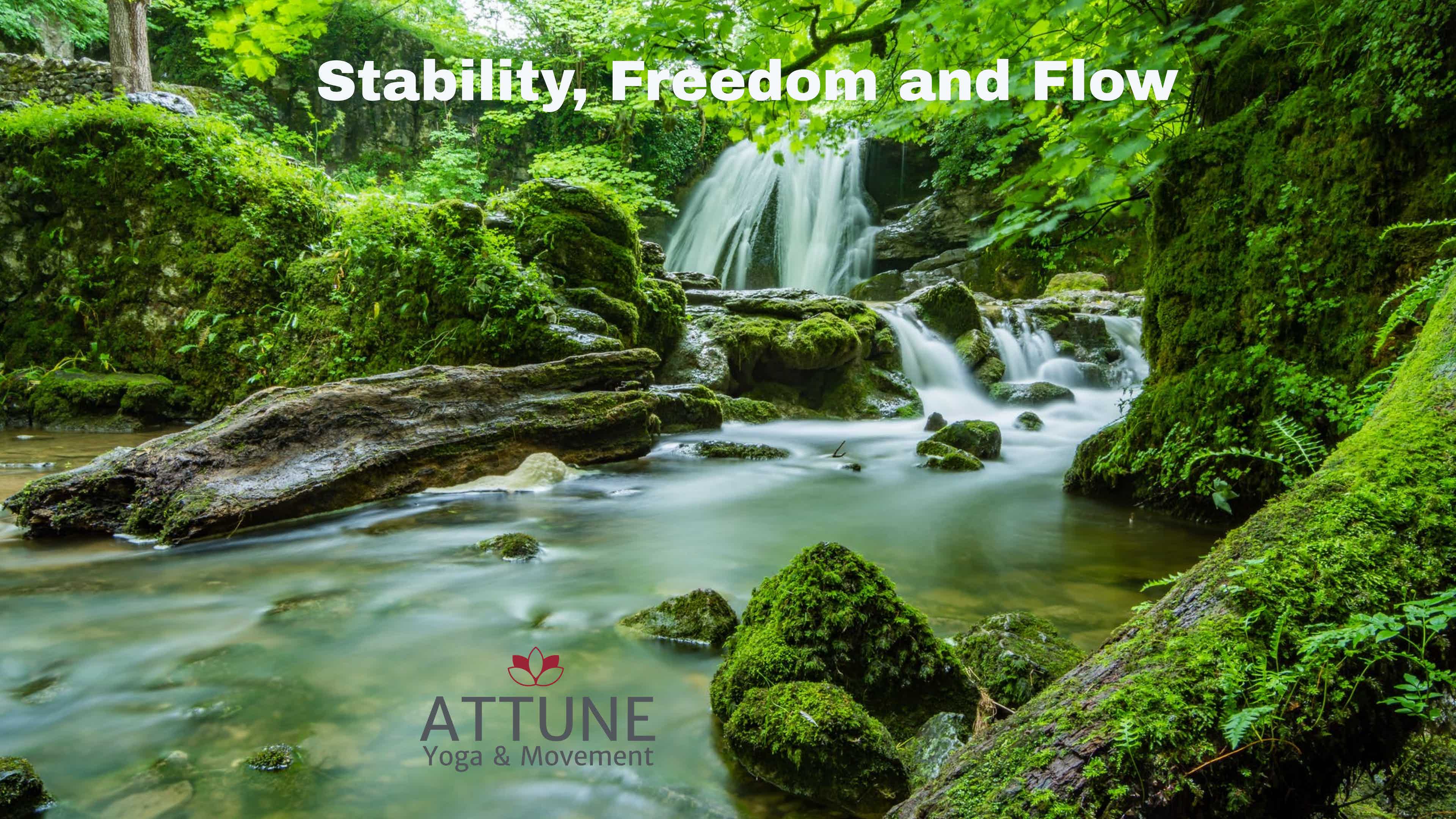 Stability, Freedom and Flow