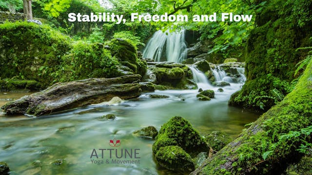 Stability, Freedom and Flow