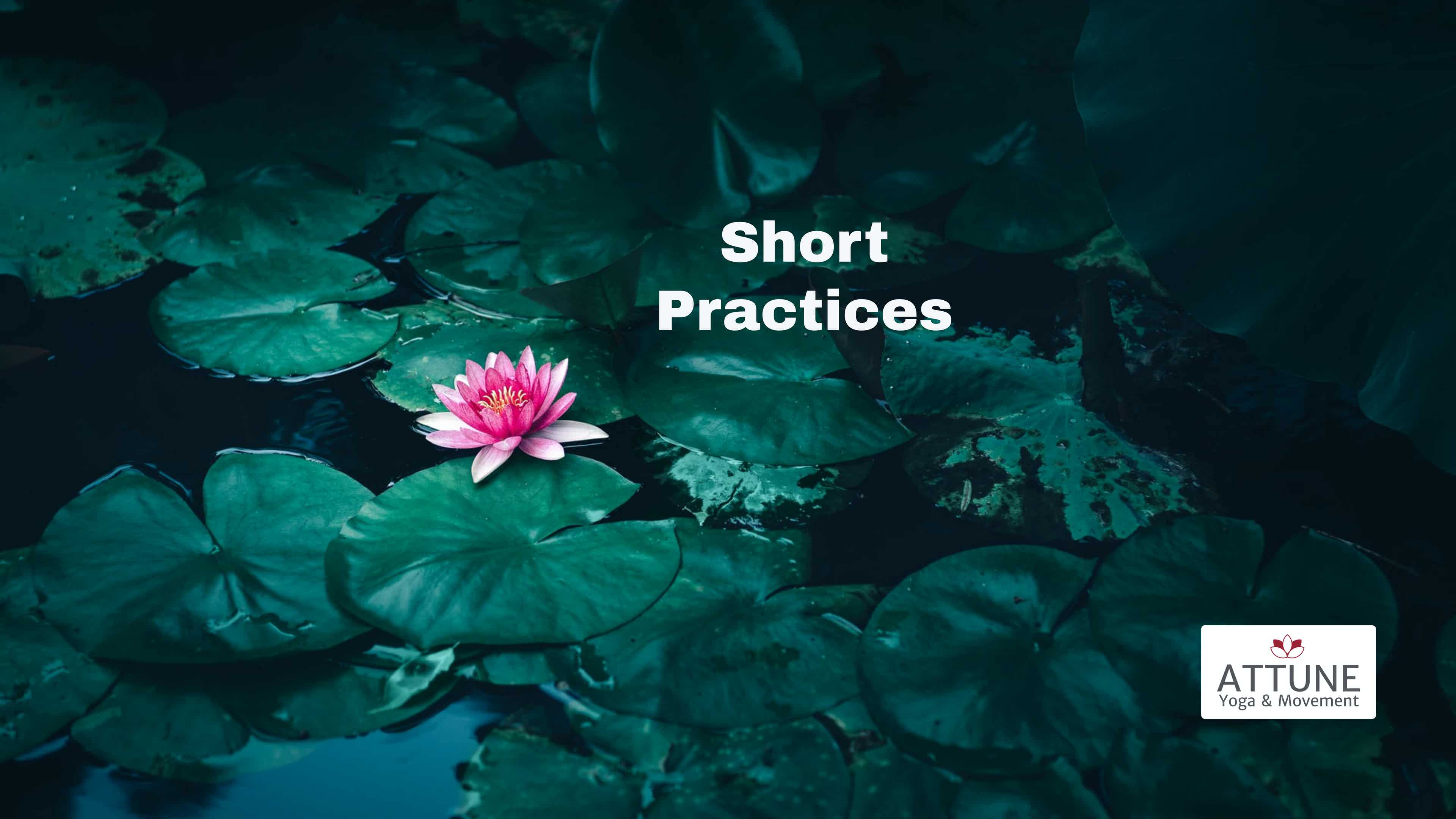 Attune Movement Short Practices