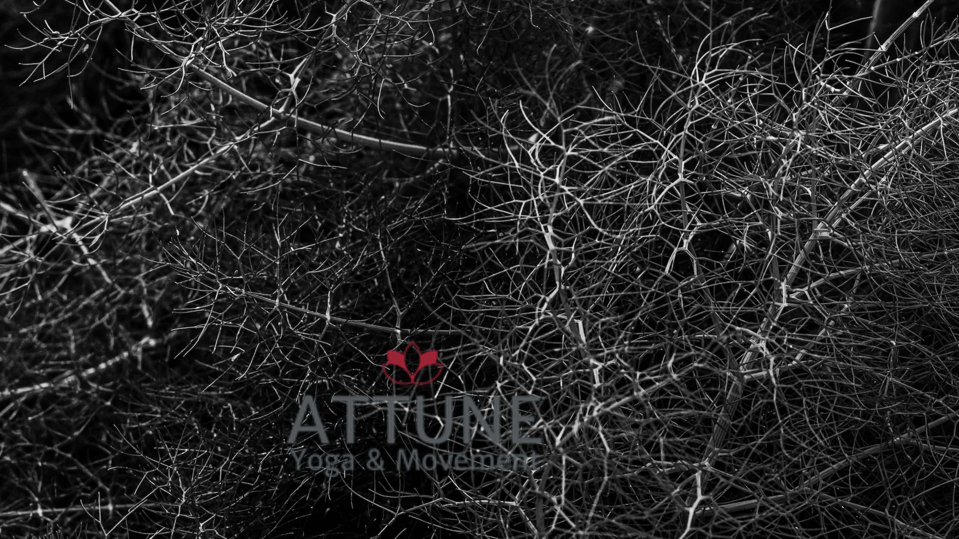 Exploring the Nervous System 11/5/2022