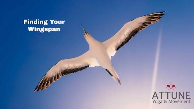 Finding Your Wingspan