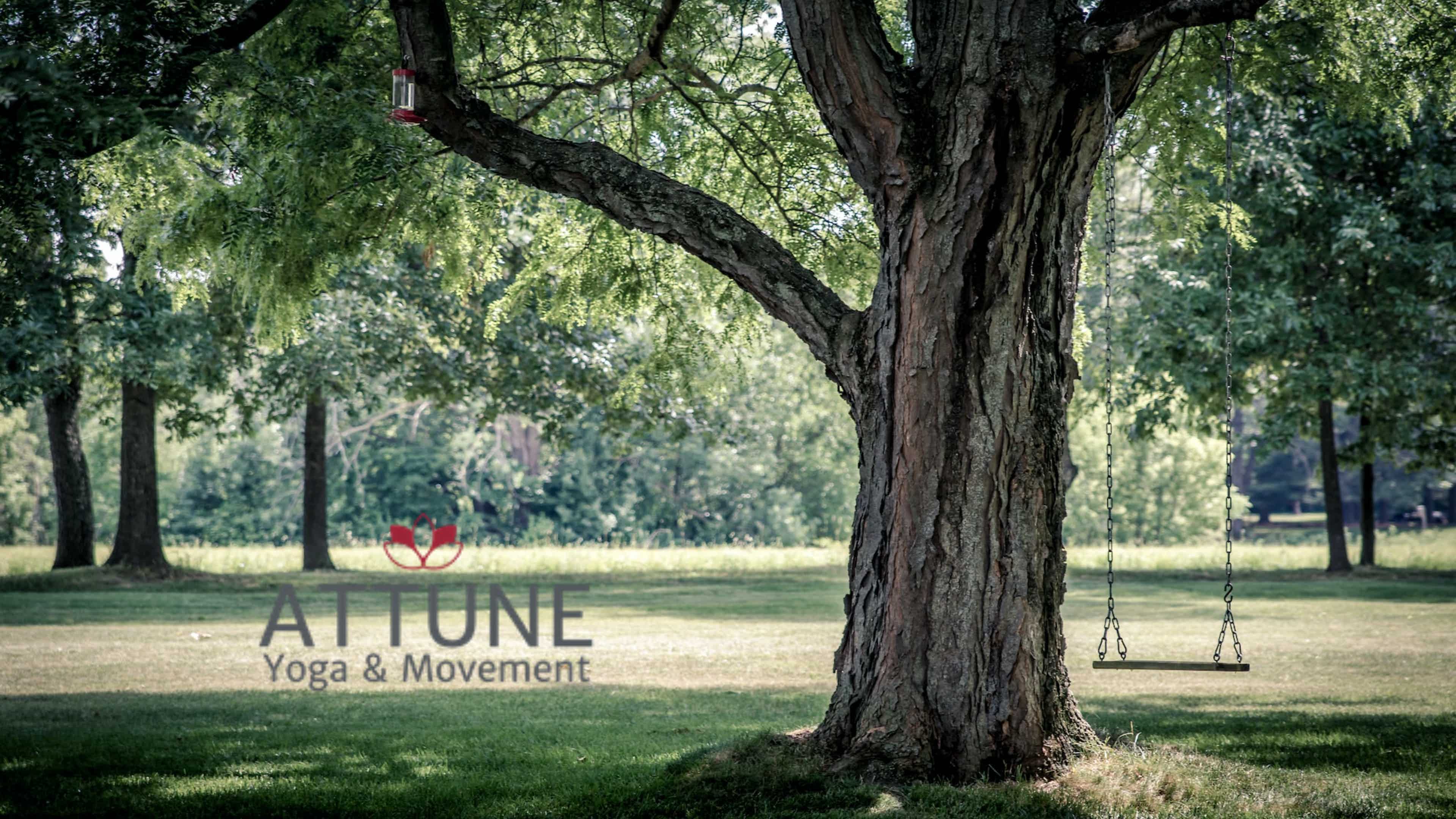 Cultivating Stability and Freedom 1/7/2023