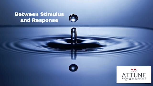 Between Stimulus and Response