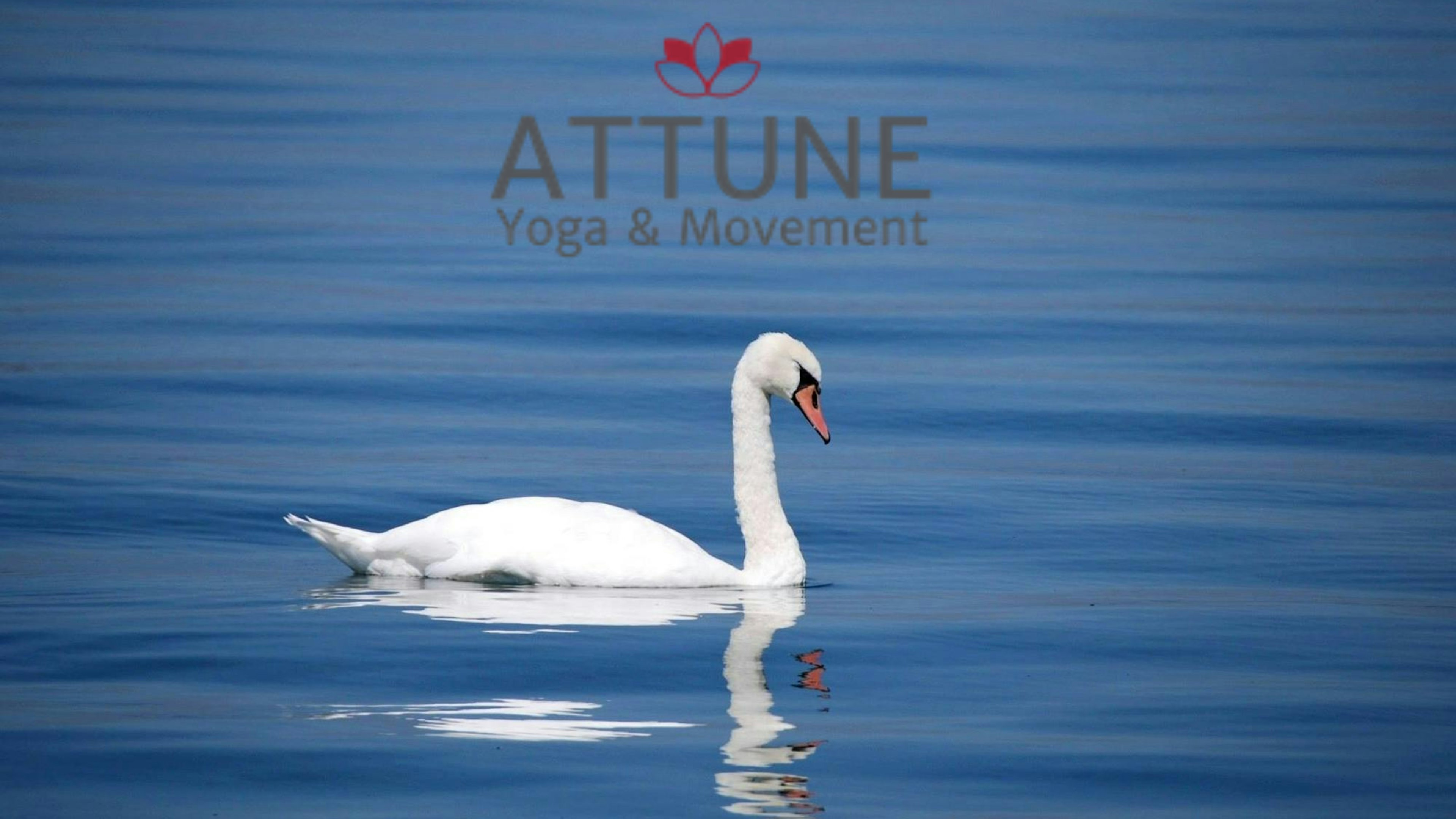 Precision and Grace 12/7/2024