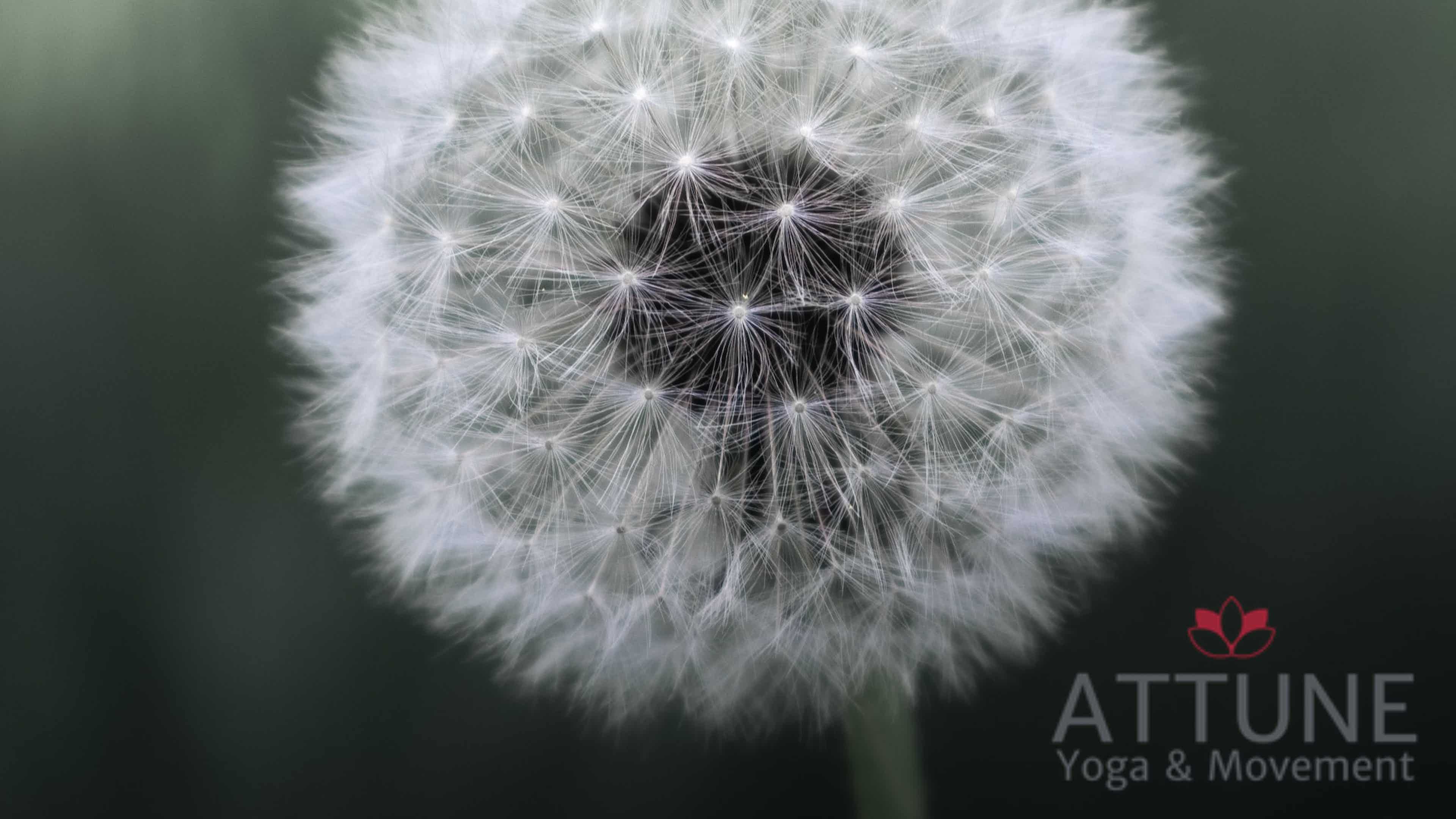 Support and Spaciousness 4/1/2023