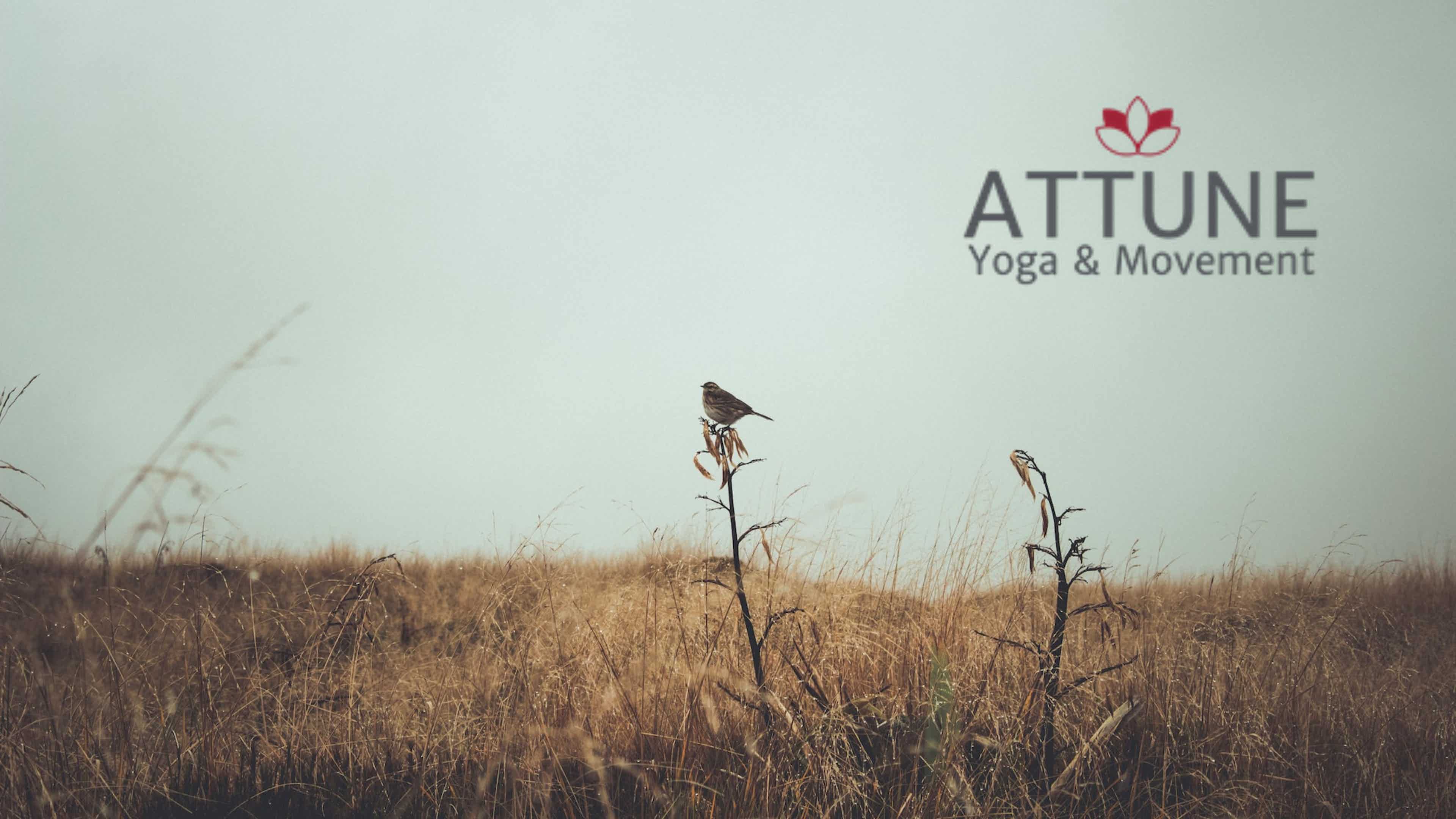 Creating Space to Land 7/15/2023