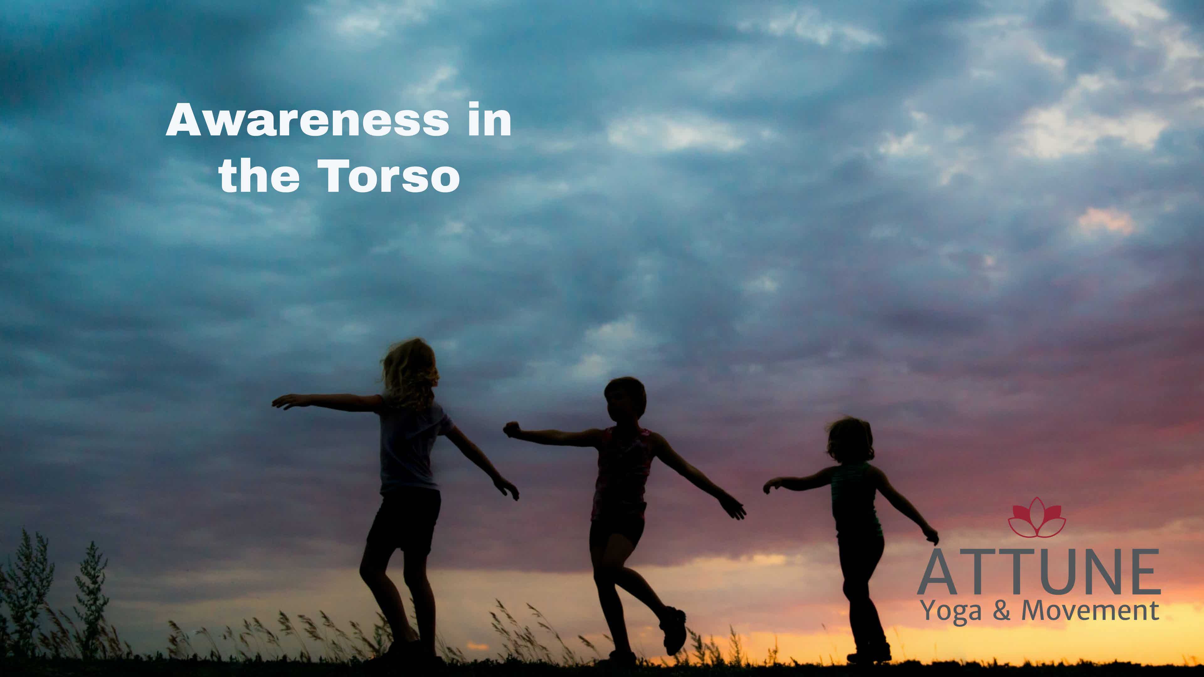 Awareness in the Torso