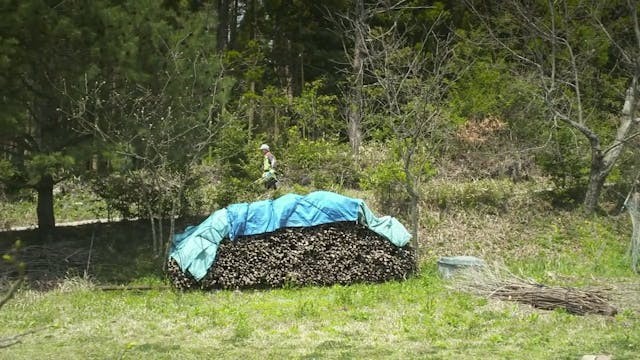 Hinoki Farm