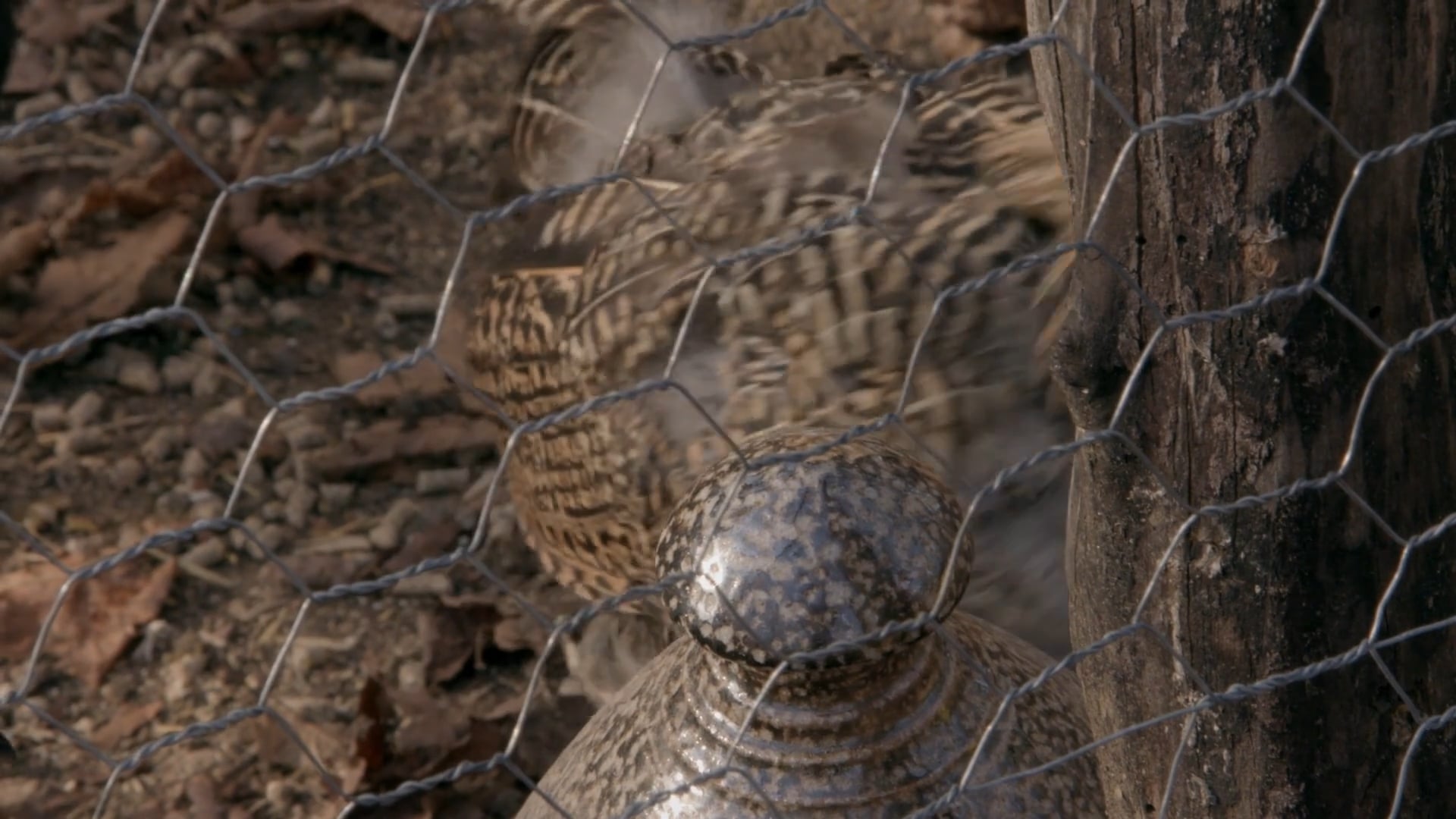 The Functional Potter