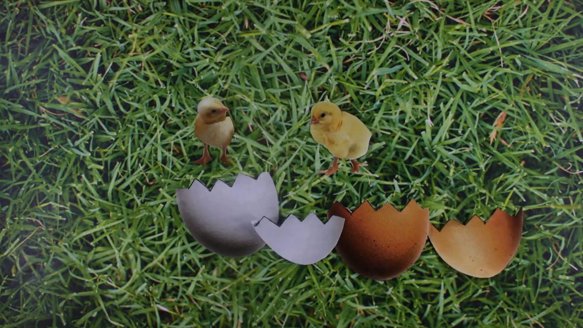 A Taste To Die For...