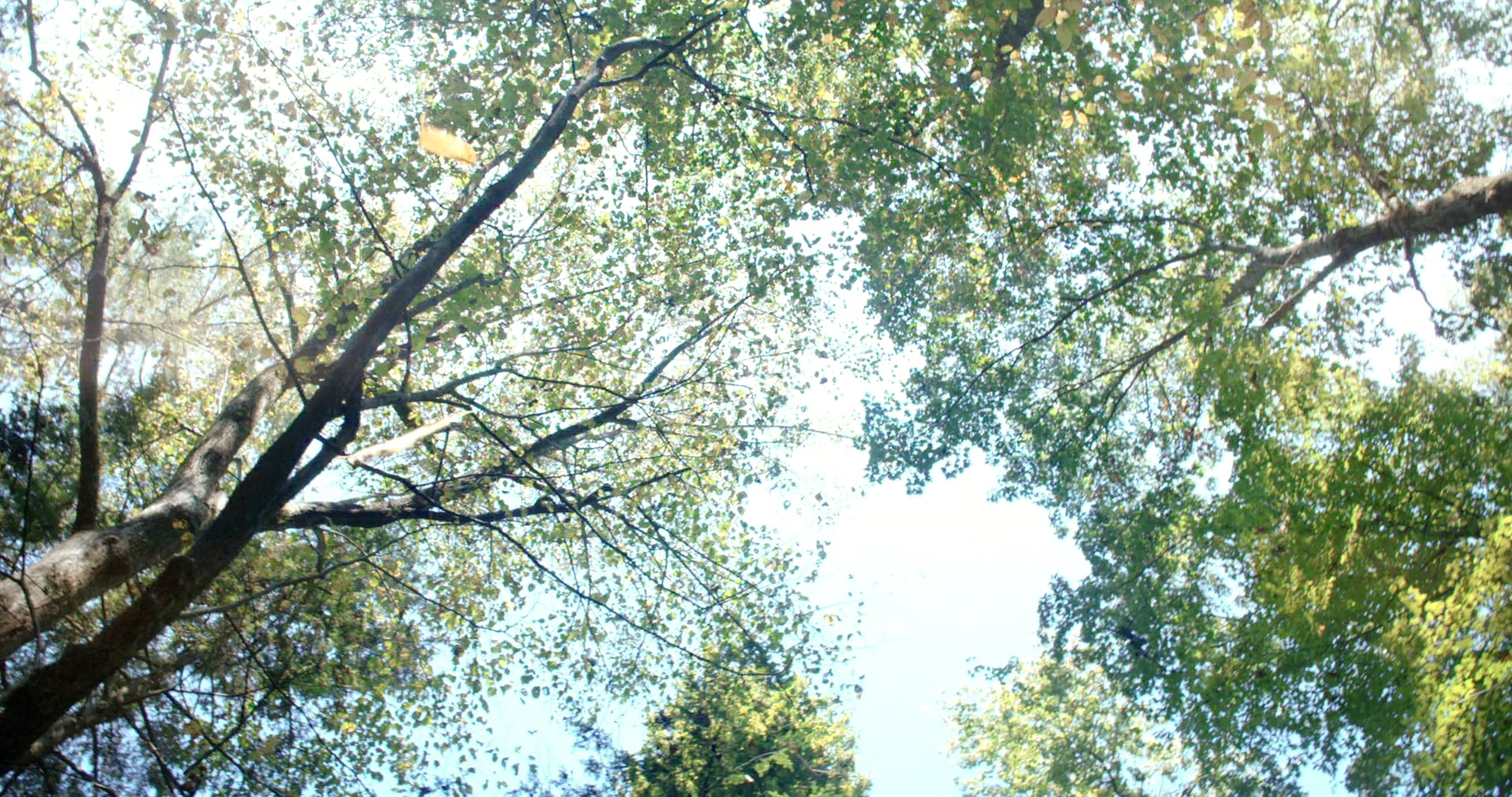 For the Love of Mary