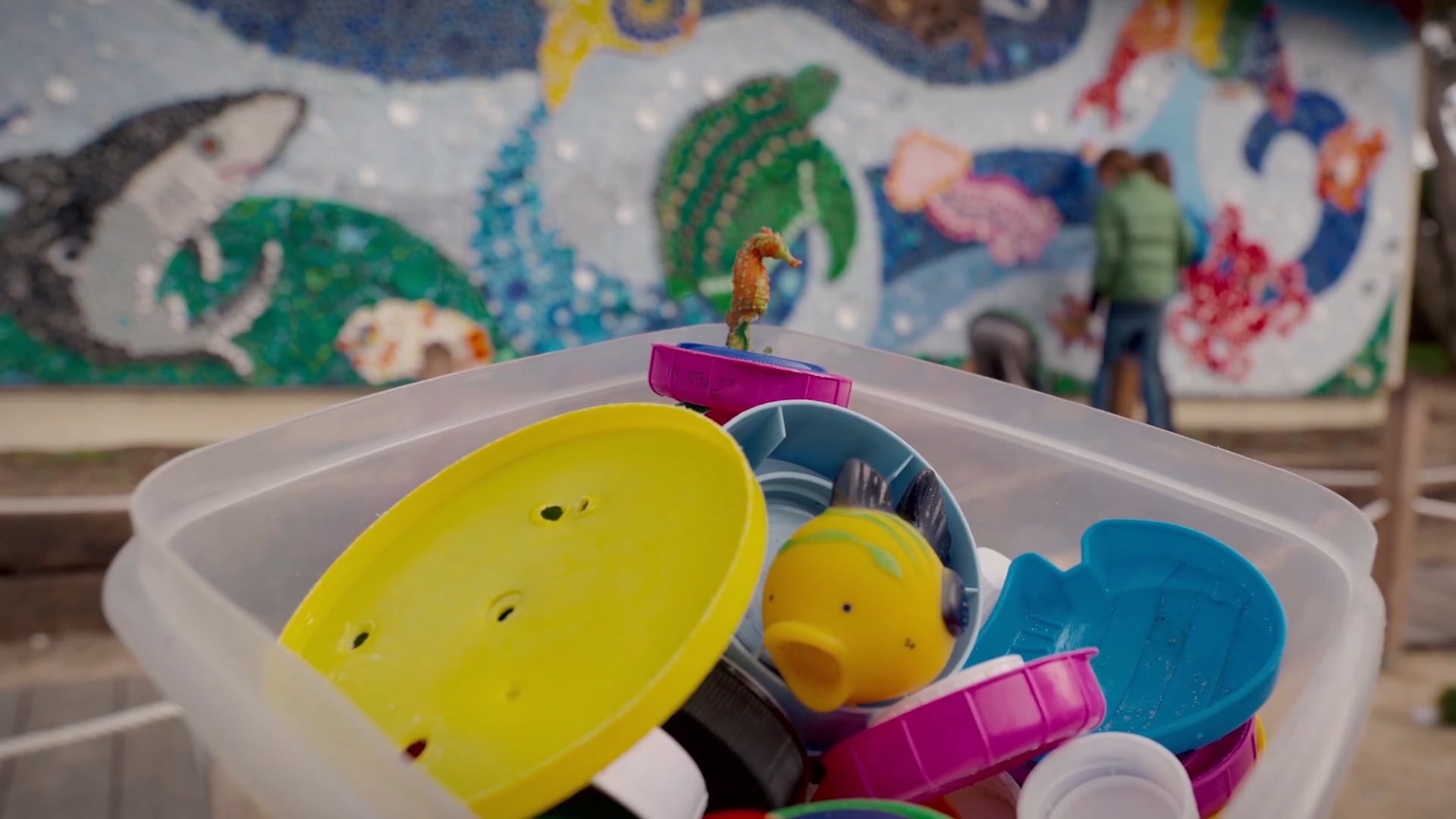 The Plastic Vagabond