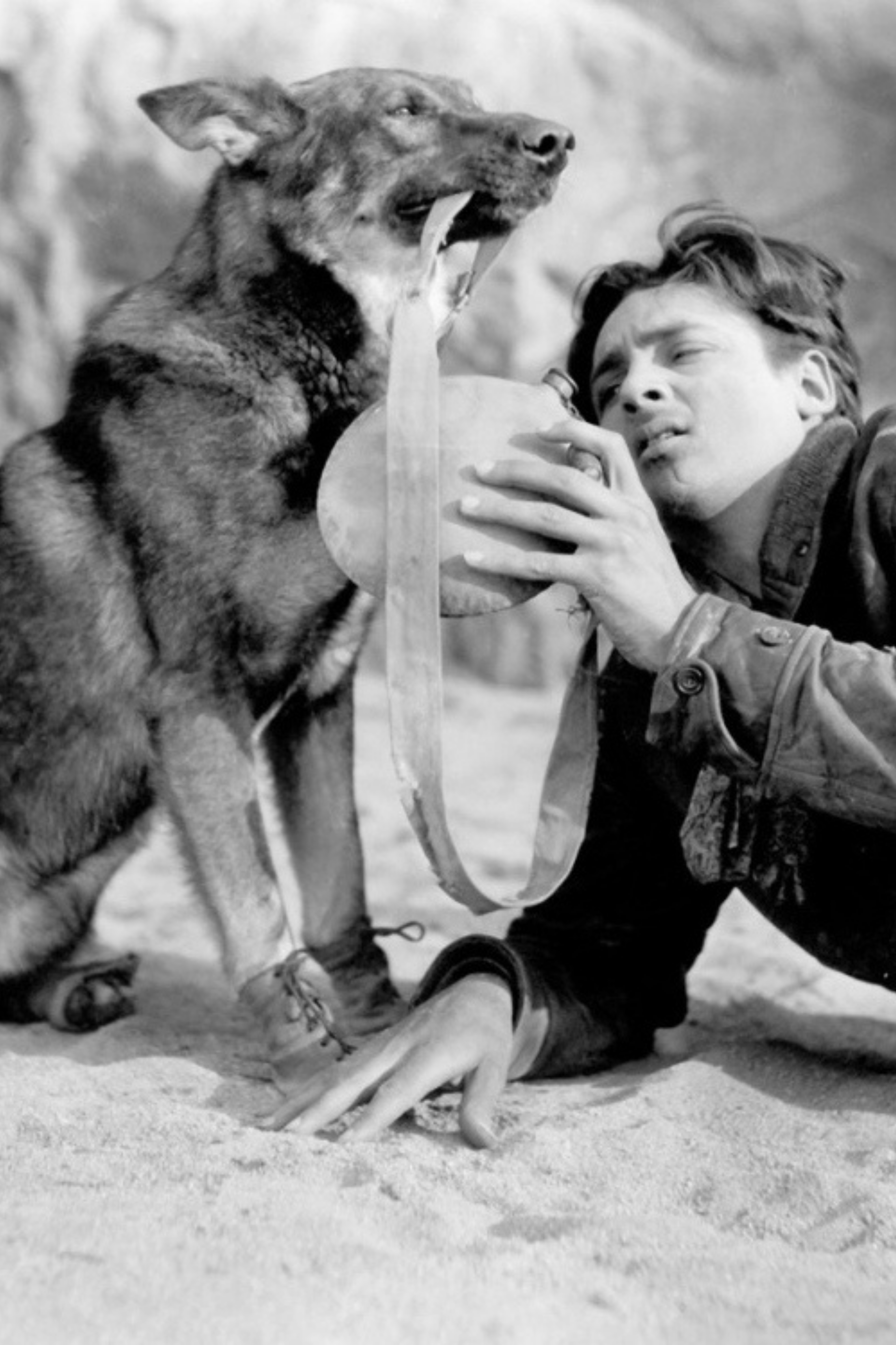 Clash of the Wolves (1925)