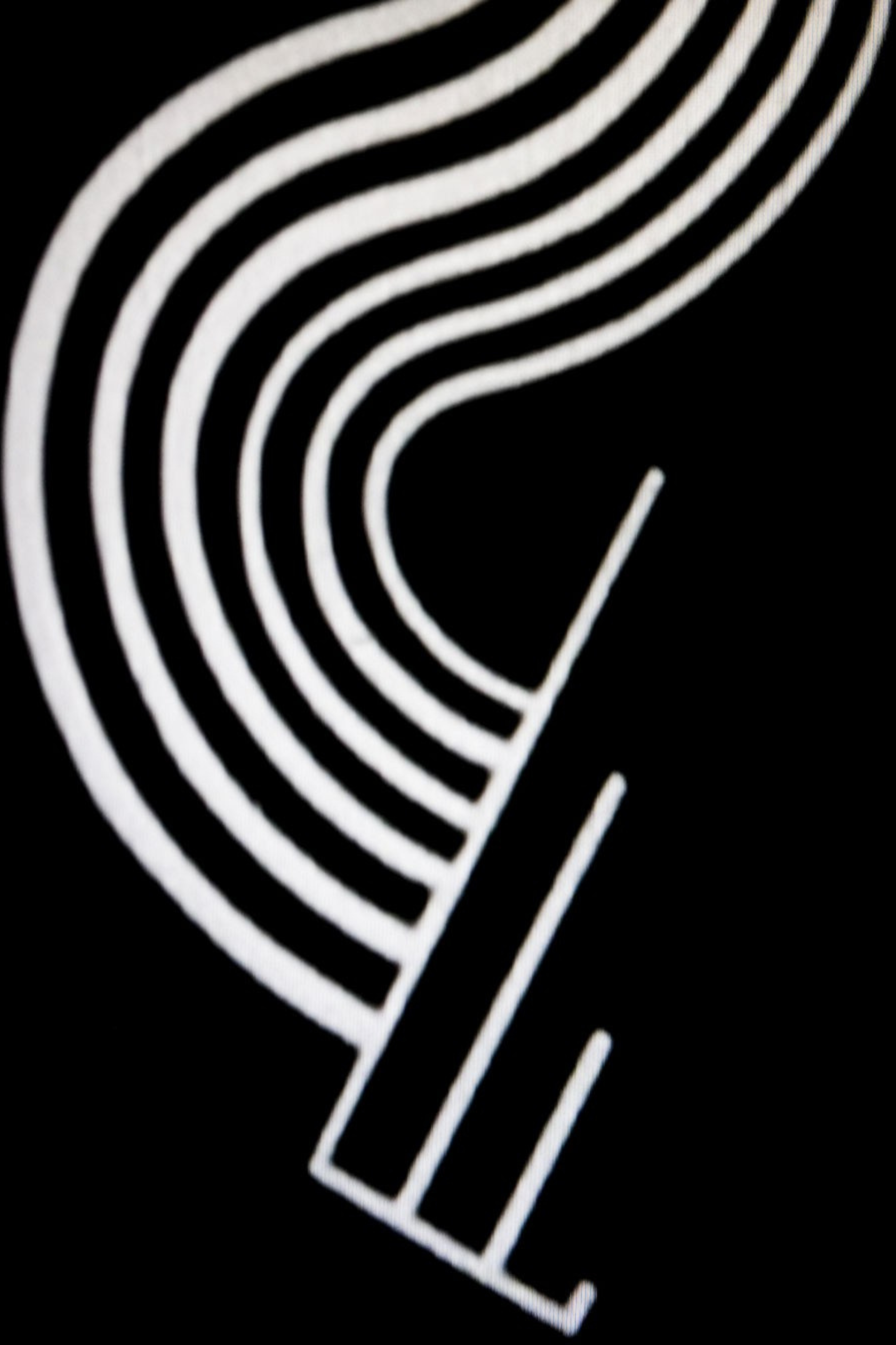 Symphonie Diagonale (1923)