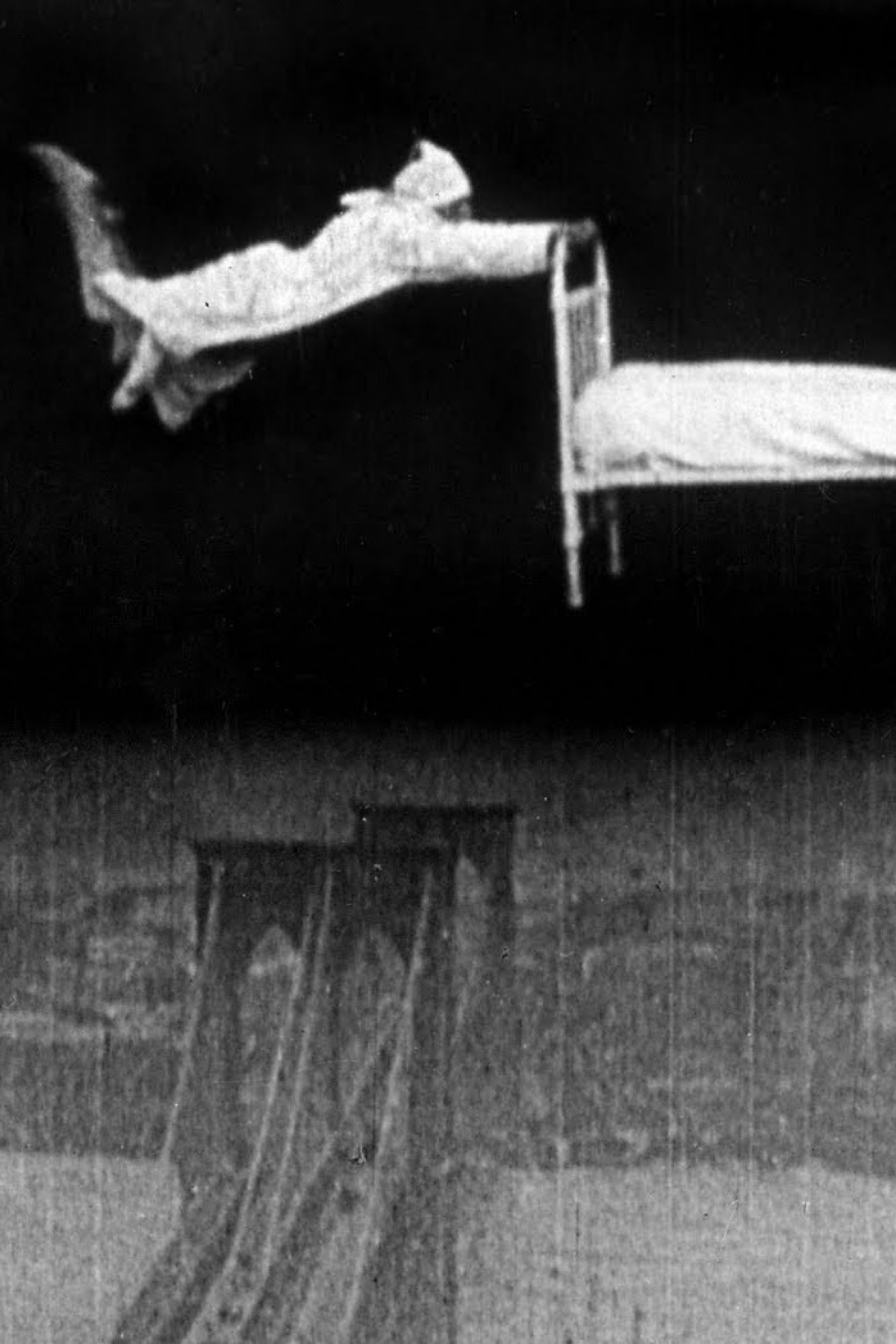 Dream of a Rarebit Fiend (1906)