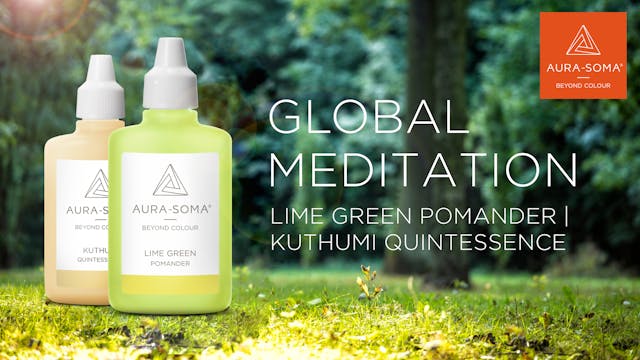 35. Global Meditation | Lime Green Po...