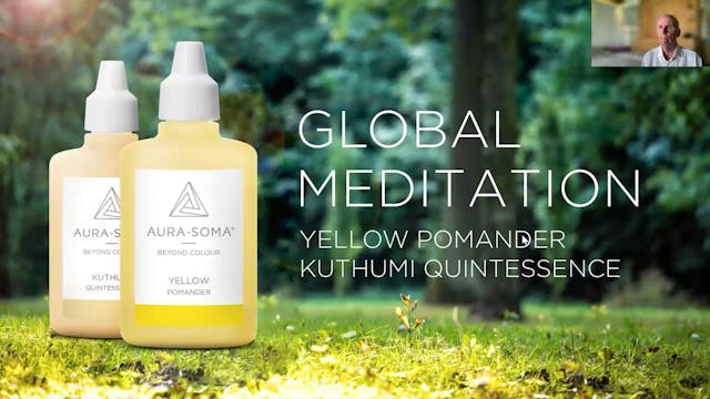 66. Global Meditation | Yellow Pomand...