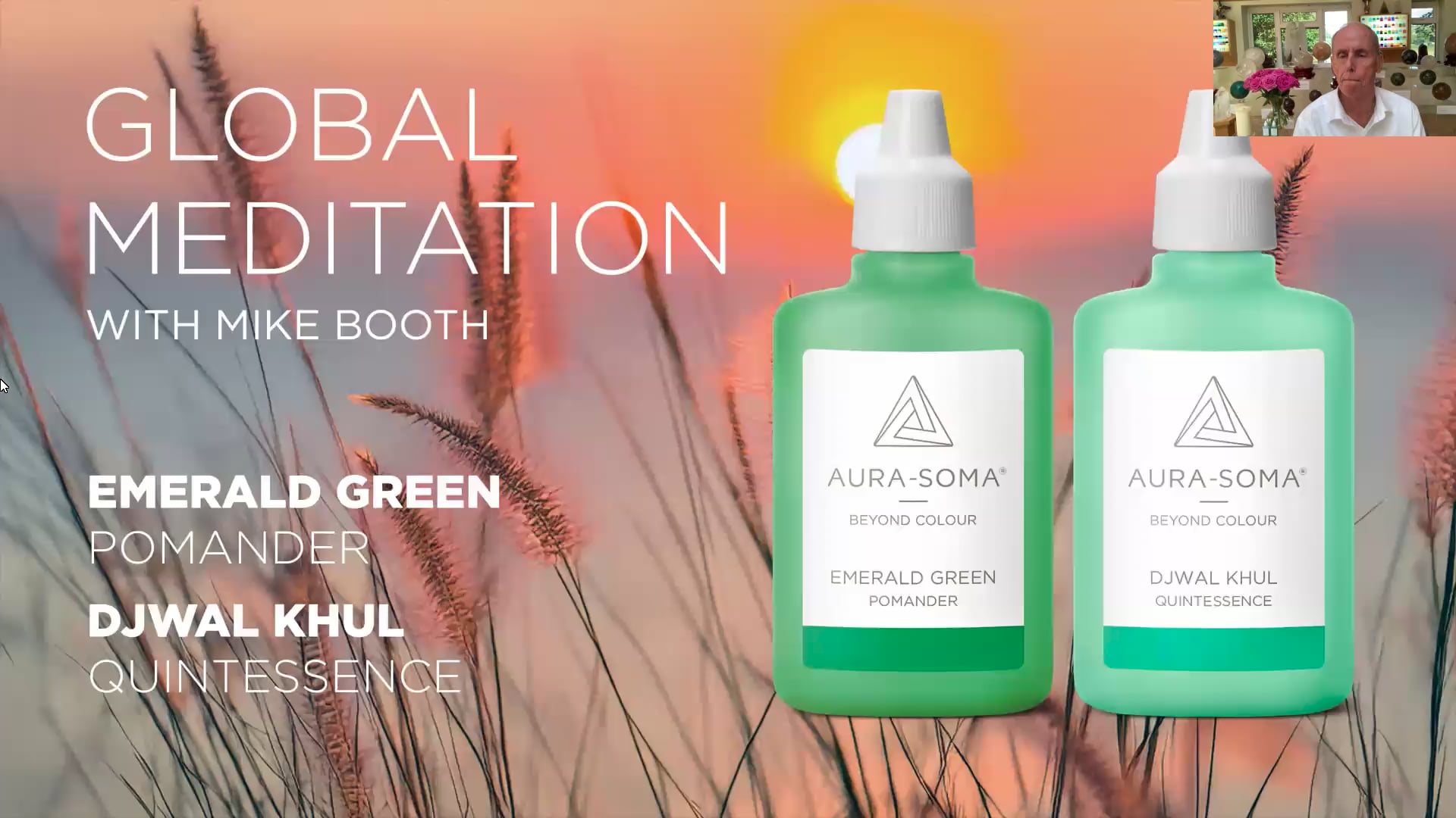 Peace Global Meditations - Aura-Soma Academy