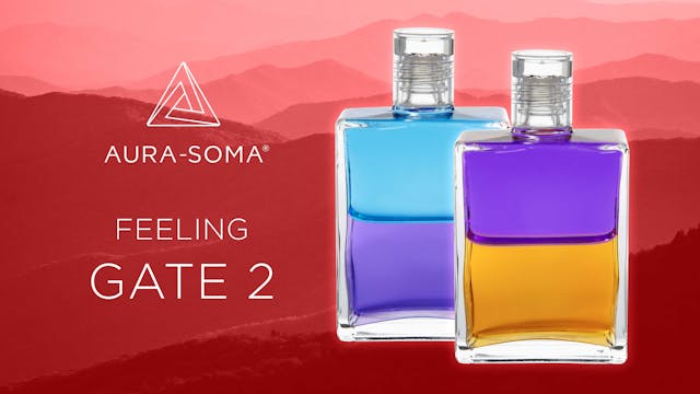 The Gates - Feeling - GATE 2