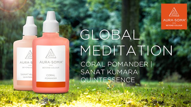 5. Global Meditation | Coral Pomander...