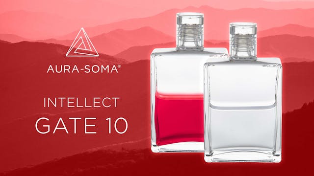 The Gates - Intellect - GATE 10