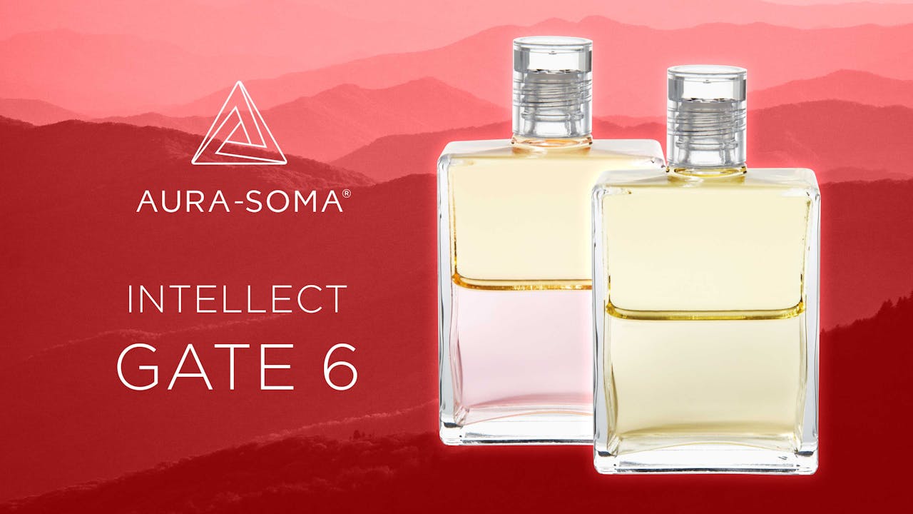 The Gates Intellect GATE 6 The Gates of AuraSoma AuraSoma Academy