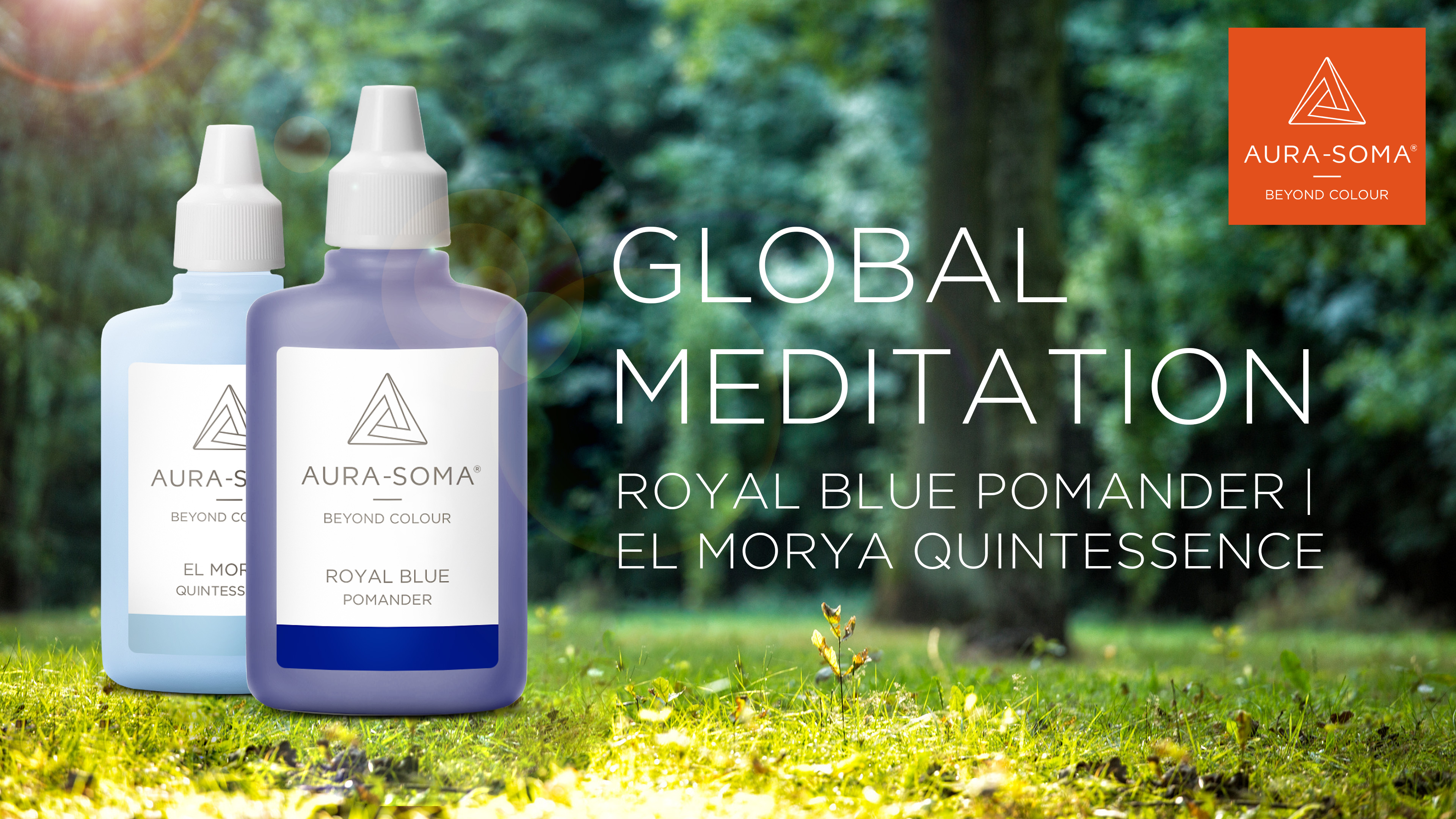 17. Global Meditation | Royal Blue Pomander | El Morya Quintessence 