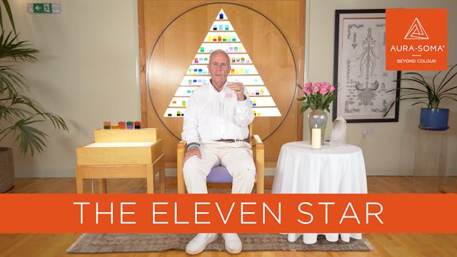 The Eleven Star
