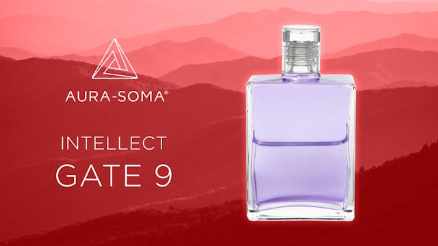 The Gates - Intellect - GATE 9