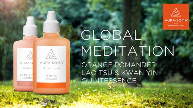 20. Global Meditation | Orange Pomand...