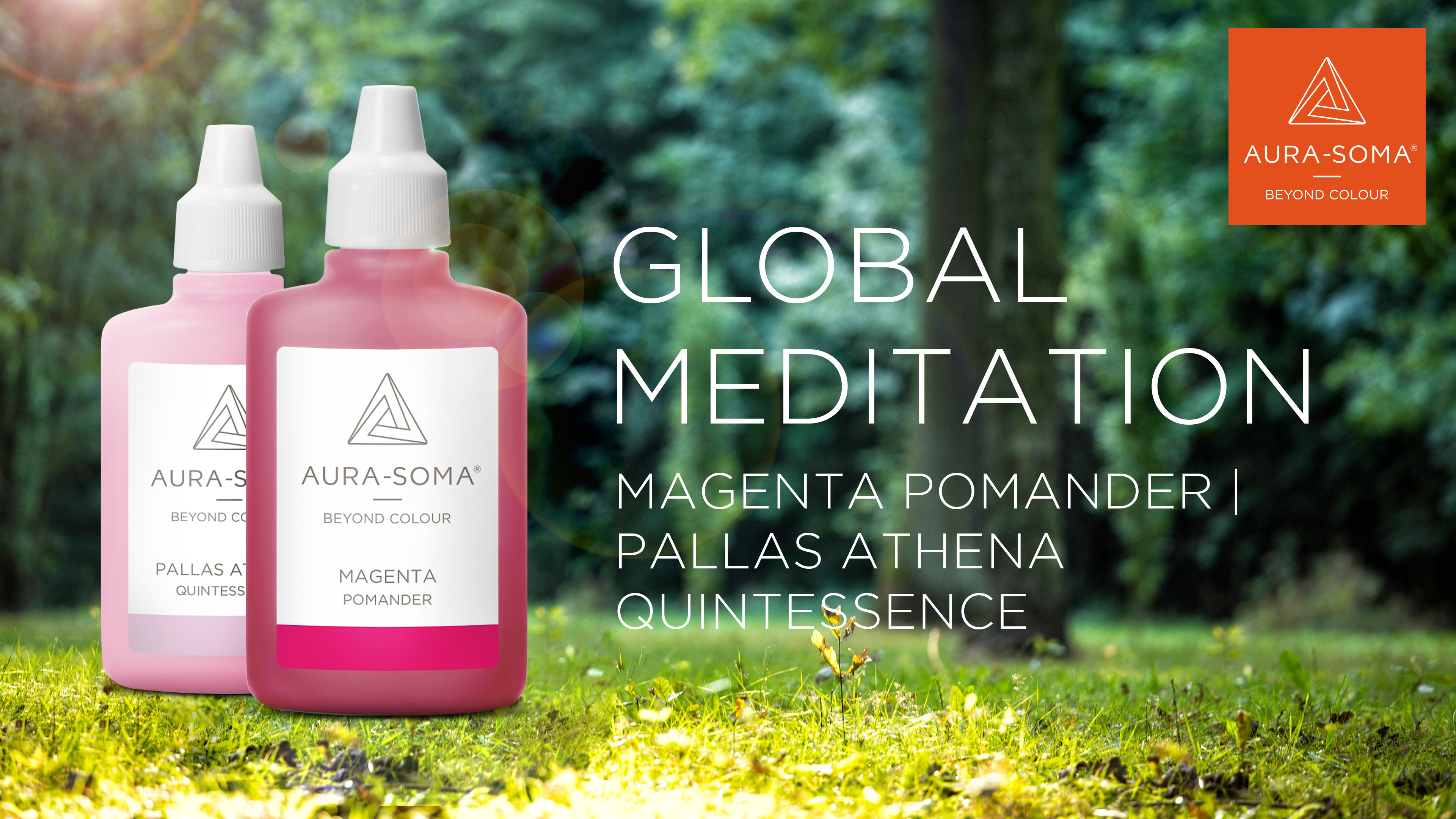 13. Global Meditation | Magenta Pomander | Pallas Athena Quintessence