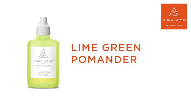 The Lime Green Pomander