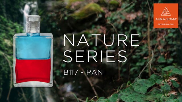 Nature Series | B117 - Pan
