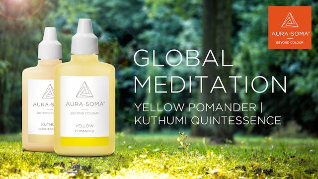 34. Global Meditation | Yellow Pomand...