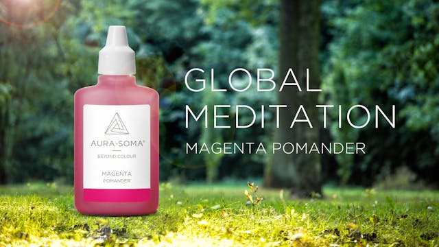 4. Global Meditation | Magenta Pomander