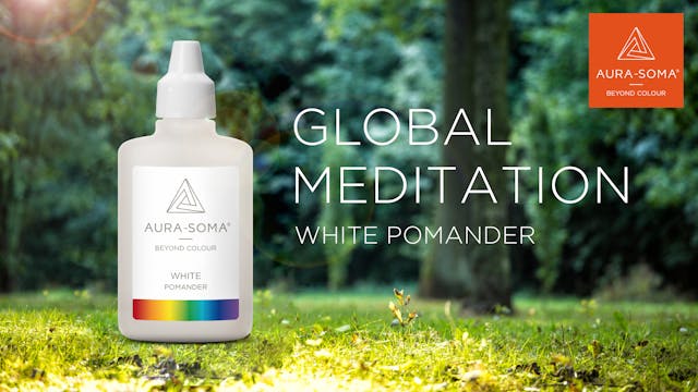 2. Global Meditation | White Pomander