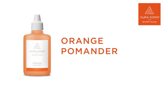 The Orange Pomander